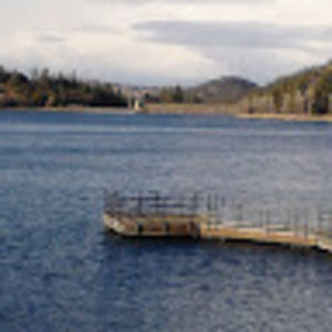 Meet your Posher, Frank